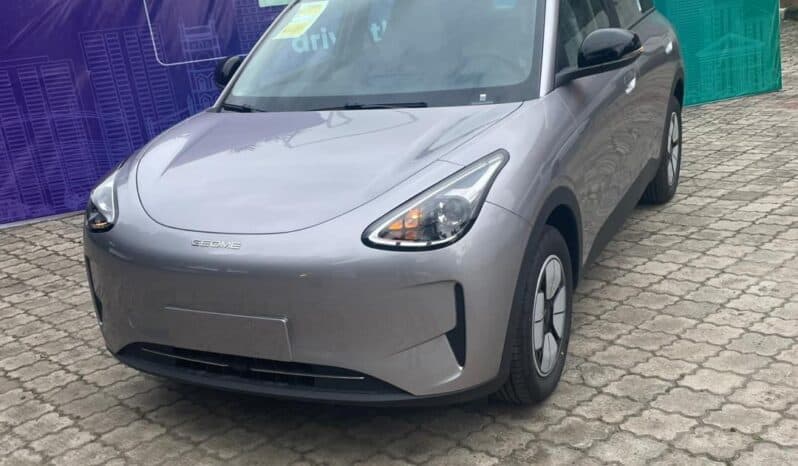 
Brand-New Other Geome 2024 full									