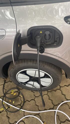 Brand-New Other Geome 2024