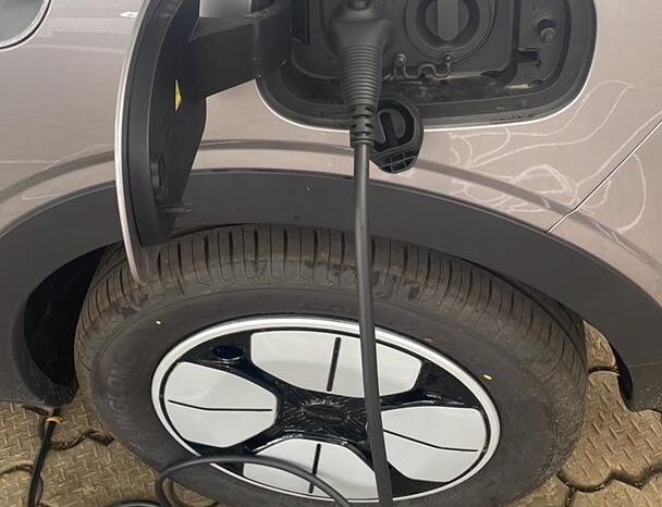 
Brand-New Other Geome 2024 full									