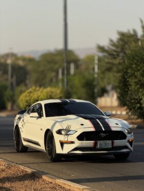 2021 Mustang 5.0 (Tuned)