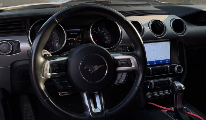 
2021 Mustang 5.0 (Tuned) full									